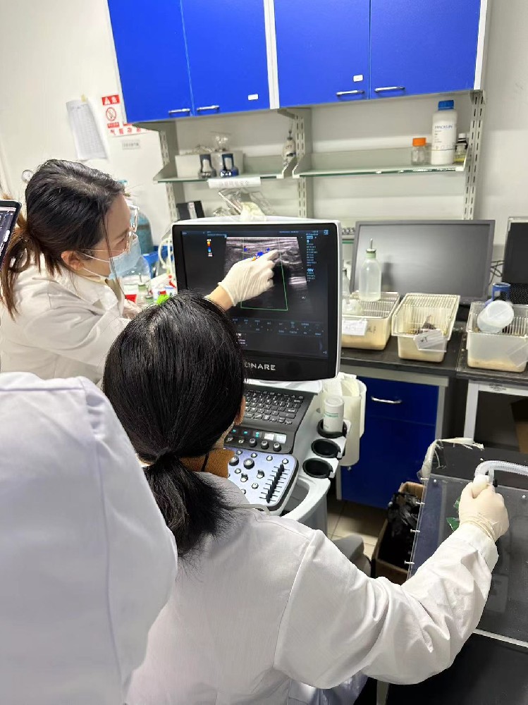 北京瑞科中儀攜手邁瑞動物醫療開拓新篇章